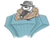 会理市取证公司解说第三者承担离婚赔偿责任吗